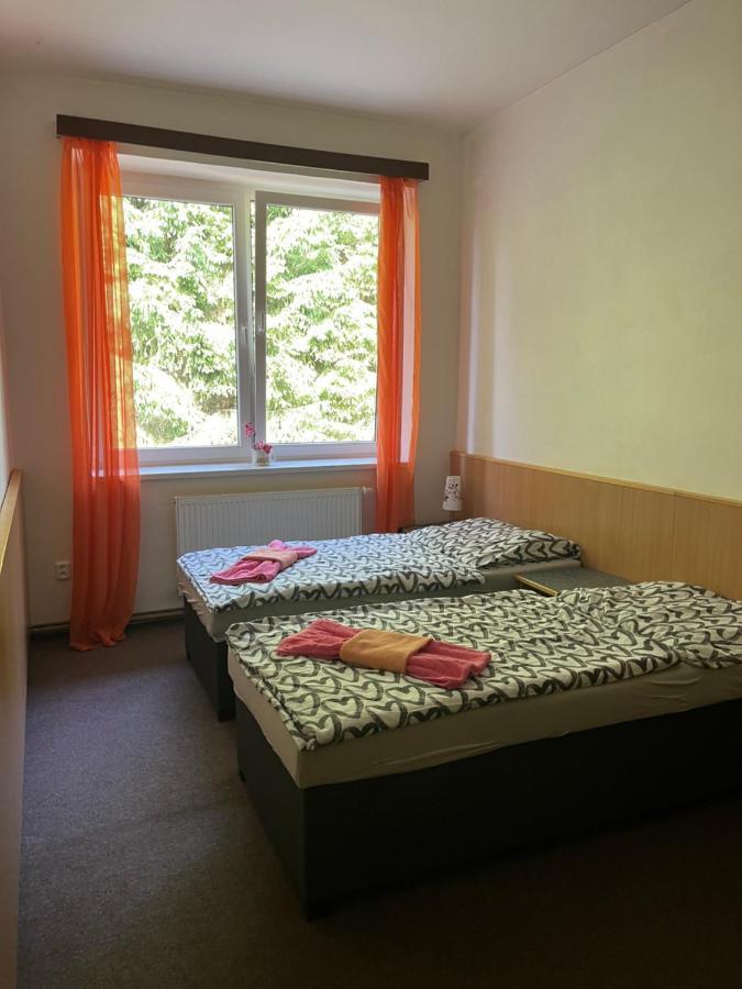 Apartman Novohradky 22 Benesov nad Cernou Exterior foto