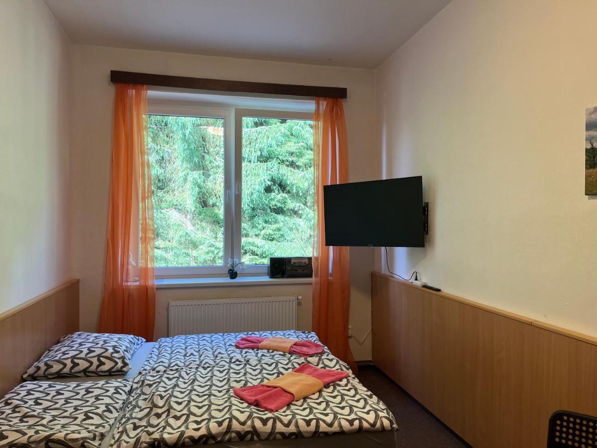 Apartman Novohradky 22 Benesov nad Cernou Exterior foto